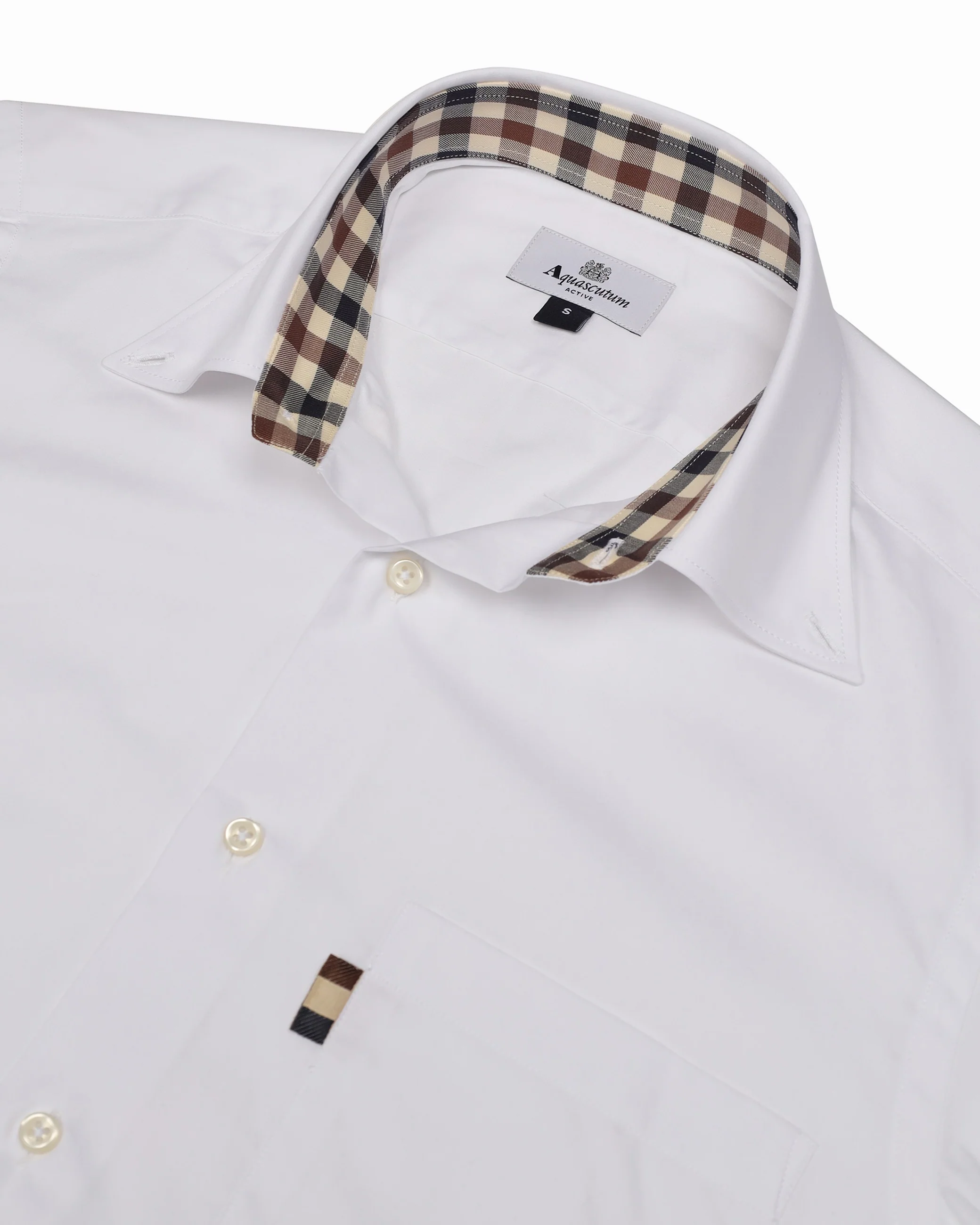 BUTTON DOWN POPELINE SHIRT - Image 3