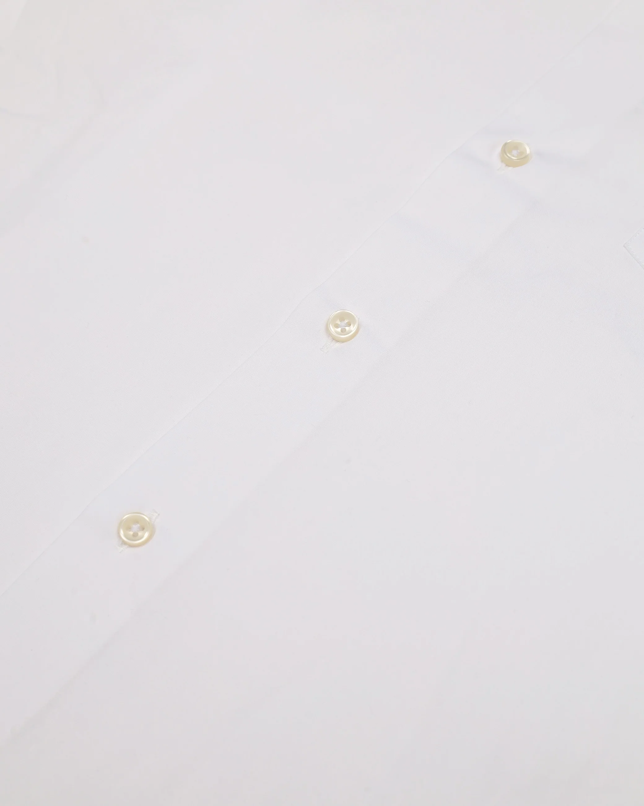 BUTTON DOWN POPELINE SHIRT - Image 8